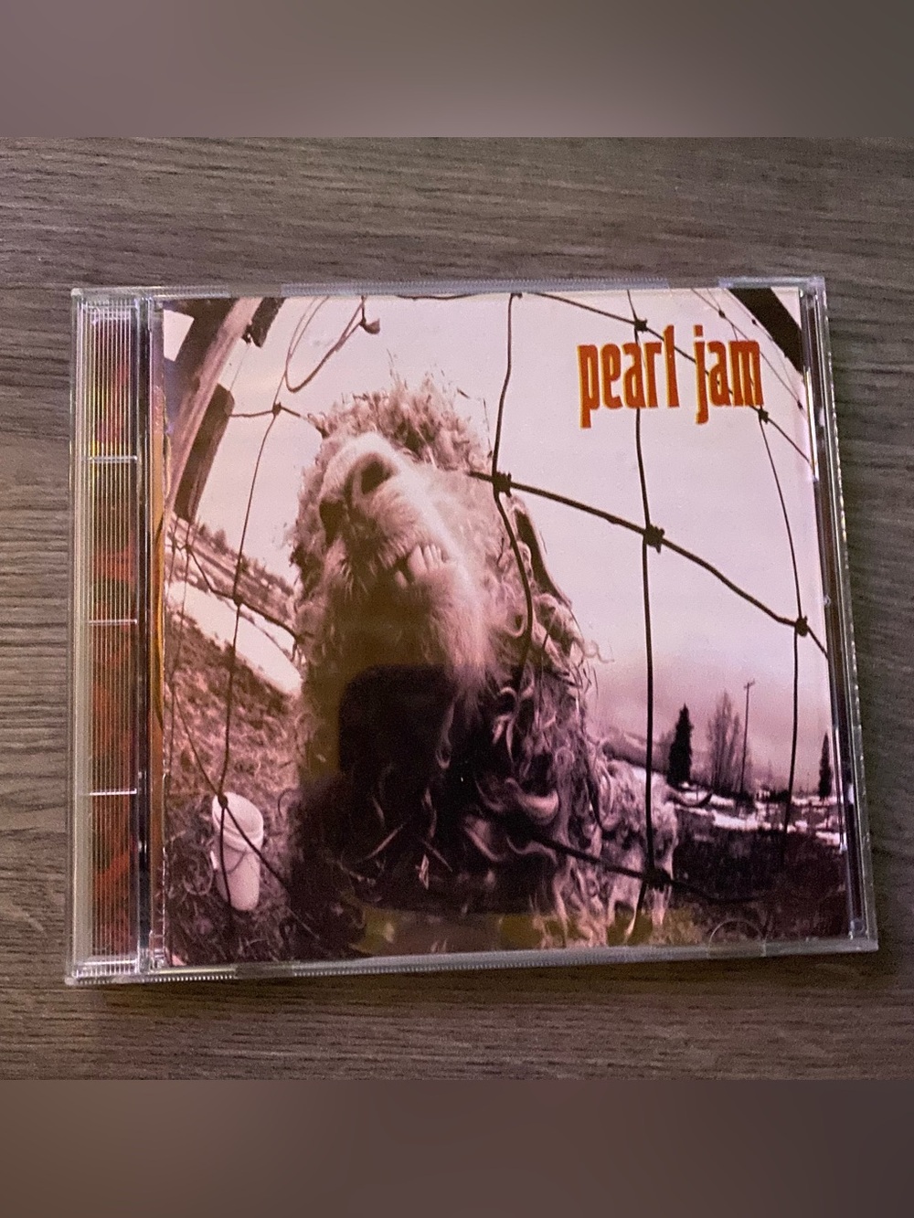 Pearl Jam- Pink and Orange Pearl Jam Album